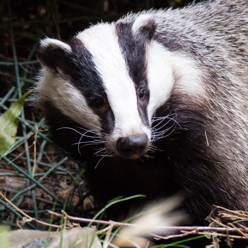 Stand van zaken Maart 2025