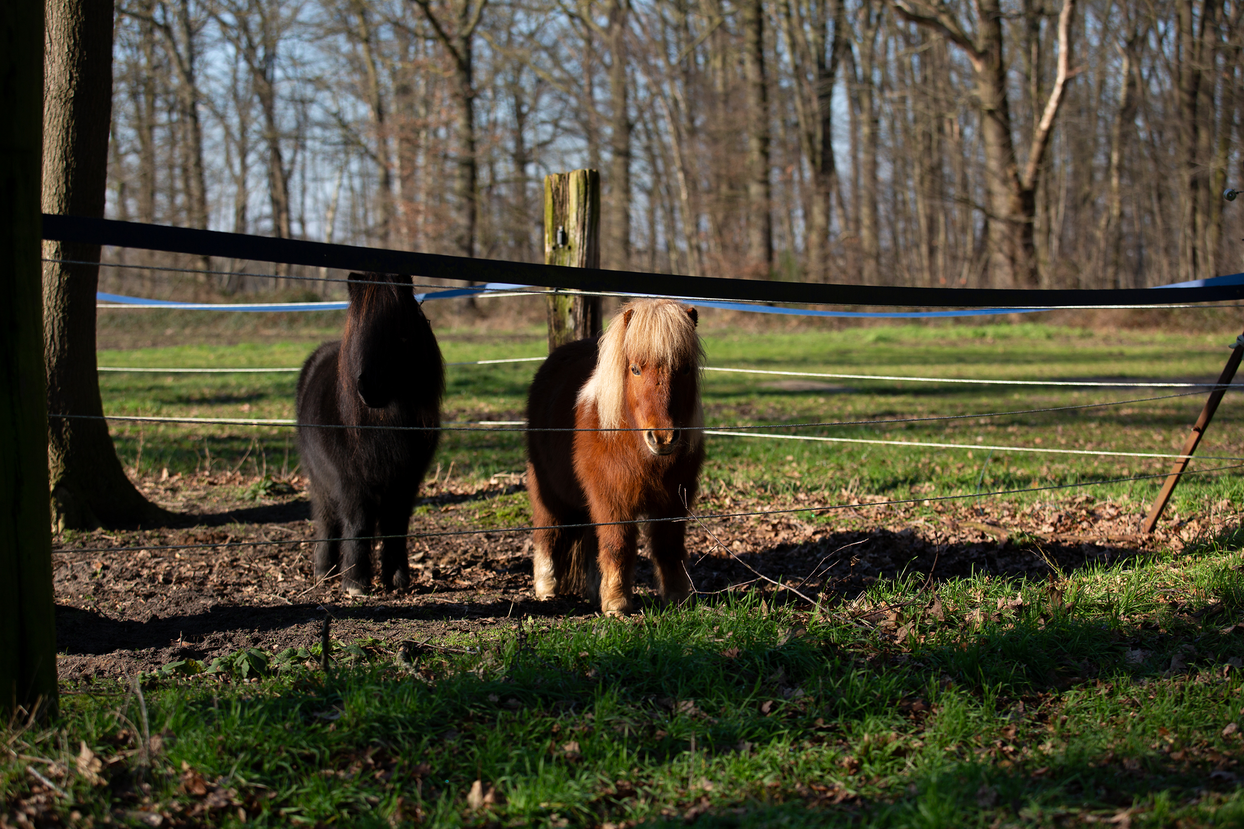 Interview met Omroep Venlo